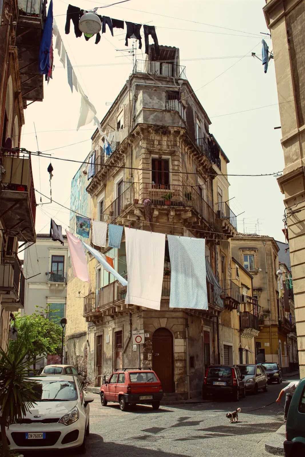 Il ritorno