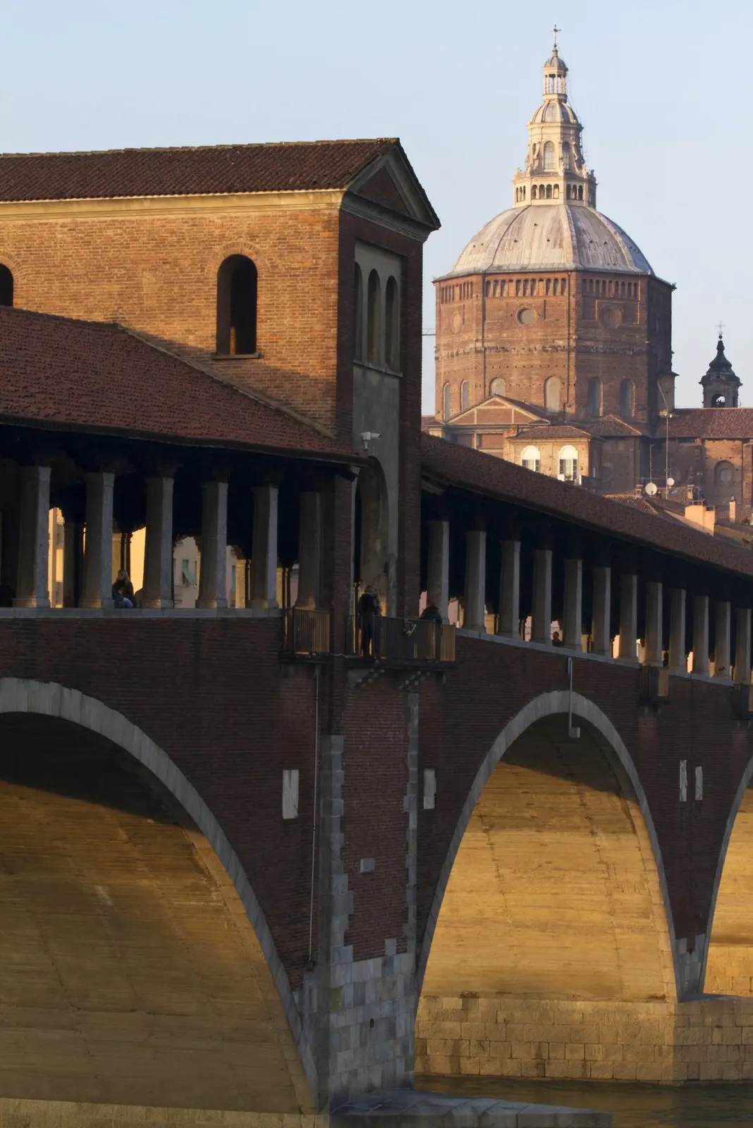 Pavia, dove la bottega apre nel 1984